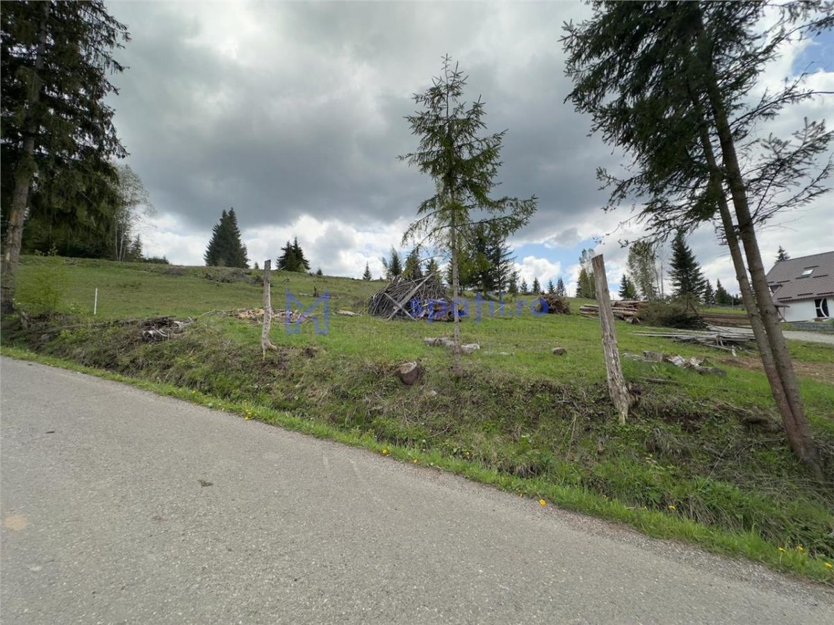 Teren la asfalt si priveliste frumoasa, 1000mp, Neagra Sarului - foto 3