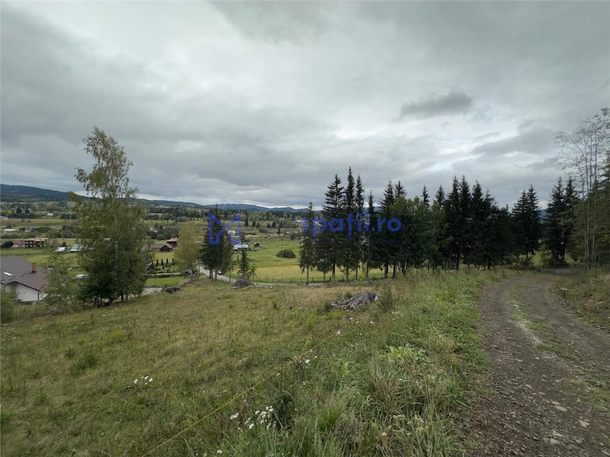 Teren la asfalt si priveliste frumoasa, 1000mp, Neagra Sarului - foto 4