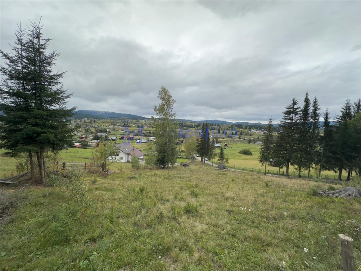 Teren la asfalt si priveliste frumoasa, 1000mp, Neagra Sarului - foto 5