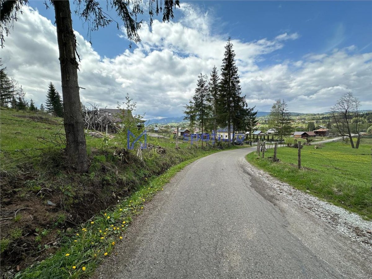 Teren la asfalt si priveliste frumoasa, 1000mp, Neagra Sarului - foto 6