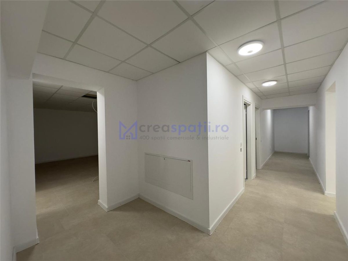 Spatiu comercial intabulat de vanzare, 420mp, Pasaj Bucium - foto 19