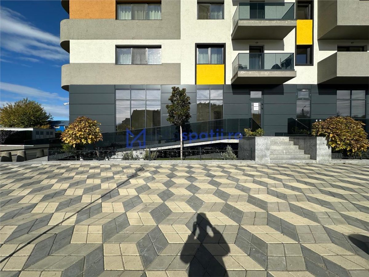 Spatiu comercial intabulat de vanzare, 420mp, Pasaj Bucium - foto 3