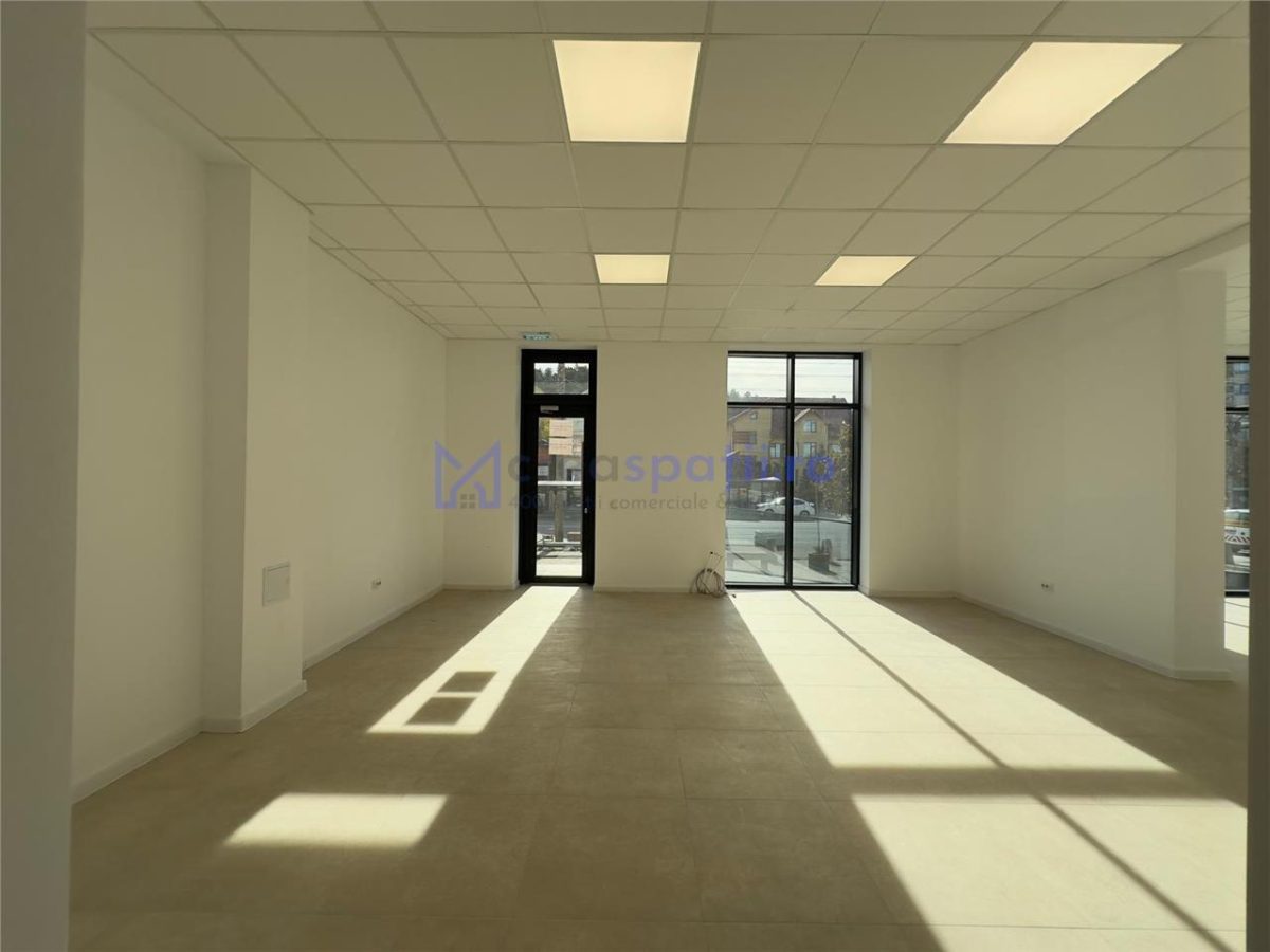 Spatiu comercial intabulat de vanzare, 420mp, Pasaj Bucium - foto 22