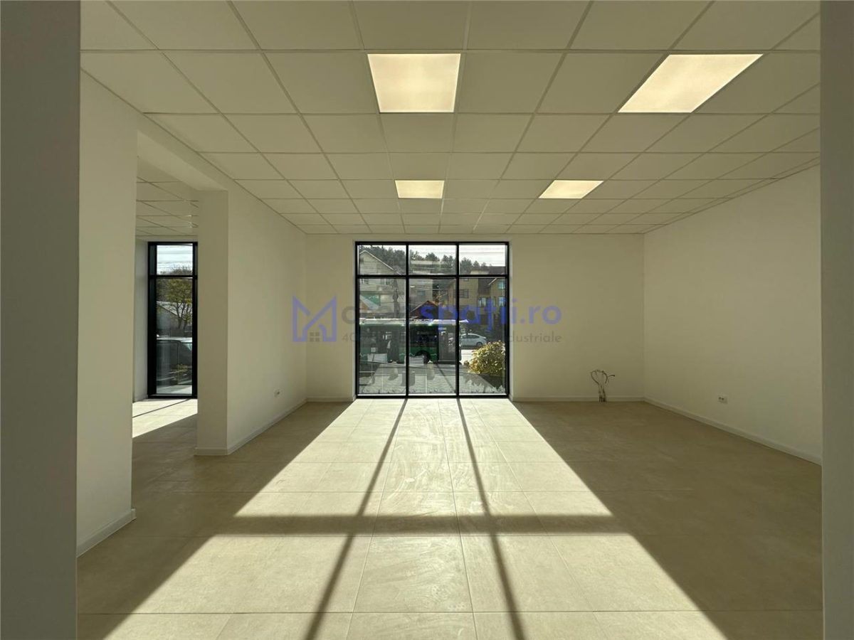 Spatiu comercial intabulat de vanzare, 420mp, Pasaj Bucium - foto 6