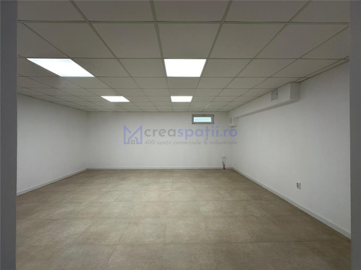 Spatiu comercial intabulat de vanzare, 420mp, Pasaj Bucium - foto 10