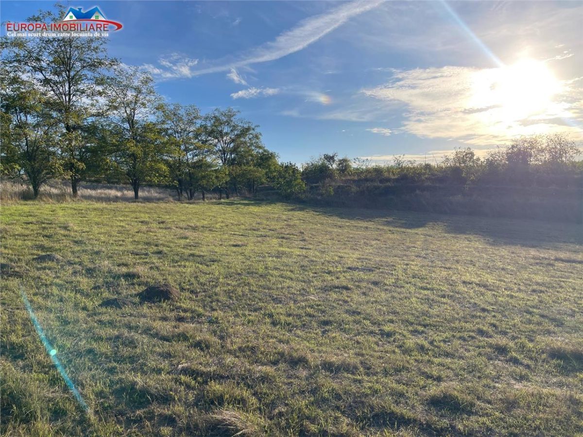 Teren de vanzare in localitatea Somova- judetul Tulcea - foto 7