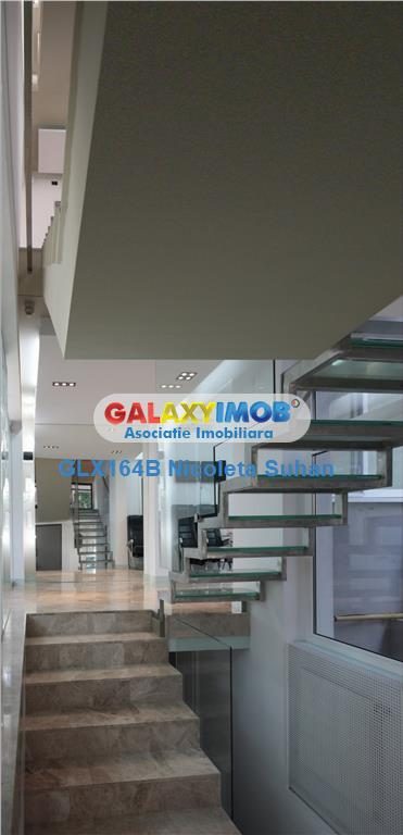 VILA D+P+2+M PRETABILA BIROURI DOMENII /GRIVITA METROU - foto 7