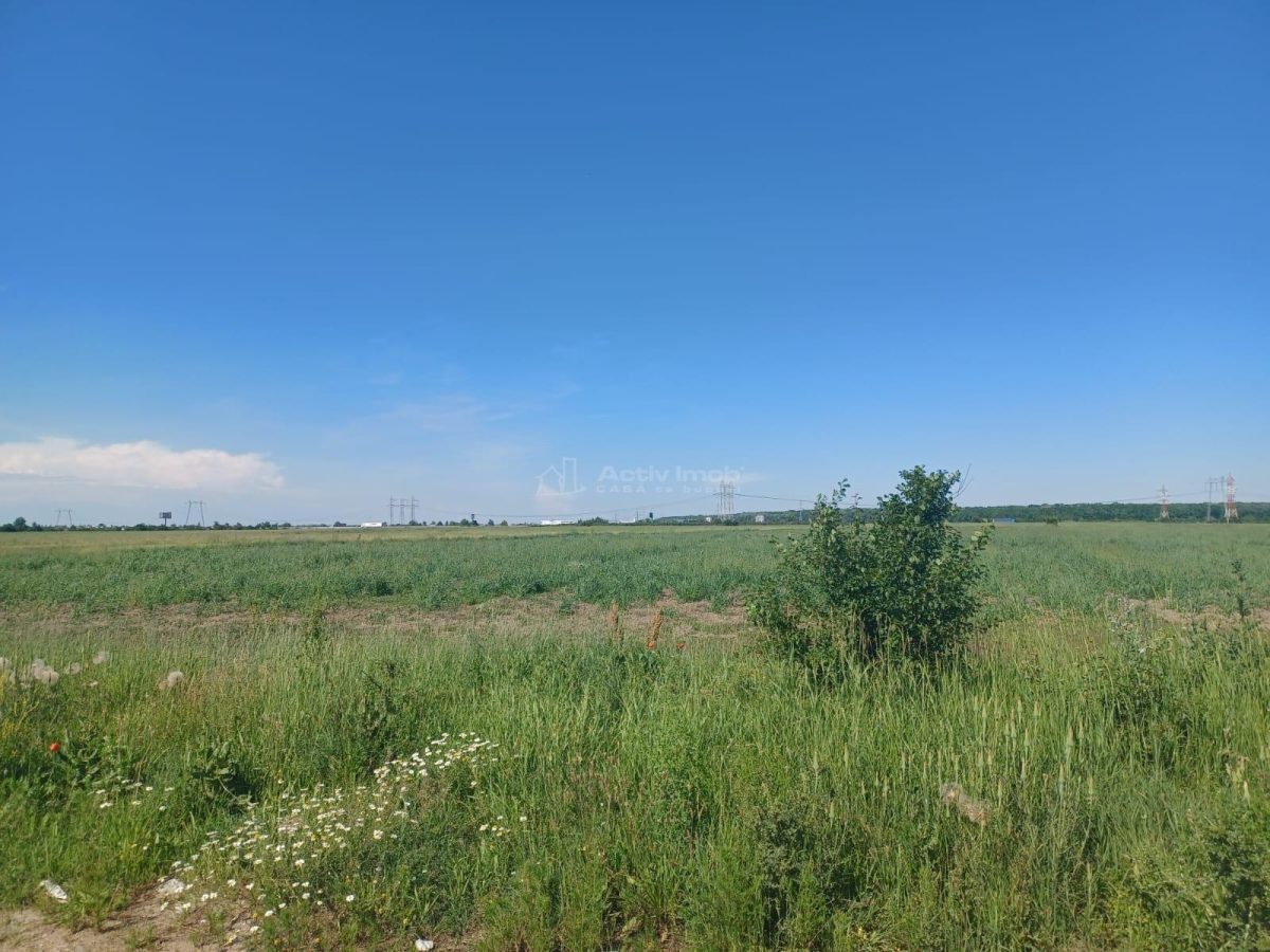 teren intravilan, 12000 mp, Ciorogarla, jud. Ilfov - 