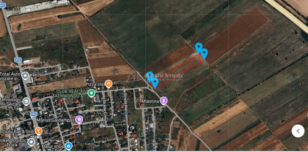 teren intravilan, 12000 mp, Ciorogarla, jud. Ilfov - foto 2