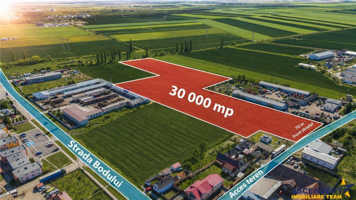 FILM! 10.000mp teren intravilan, Central, Halchiu, Brasov - 