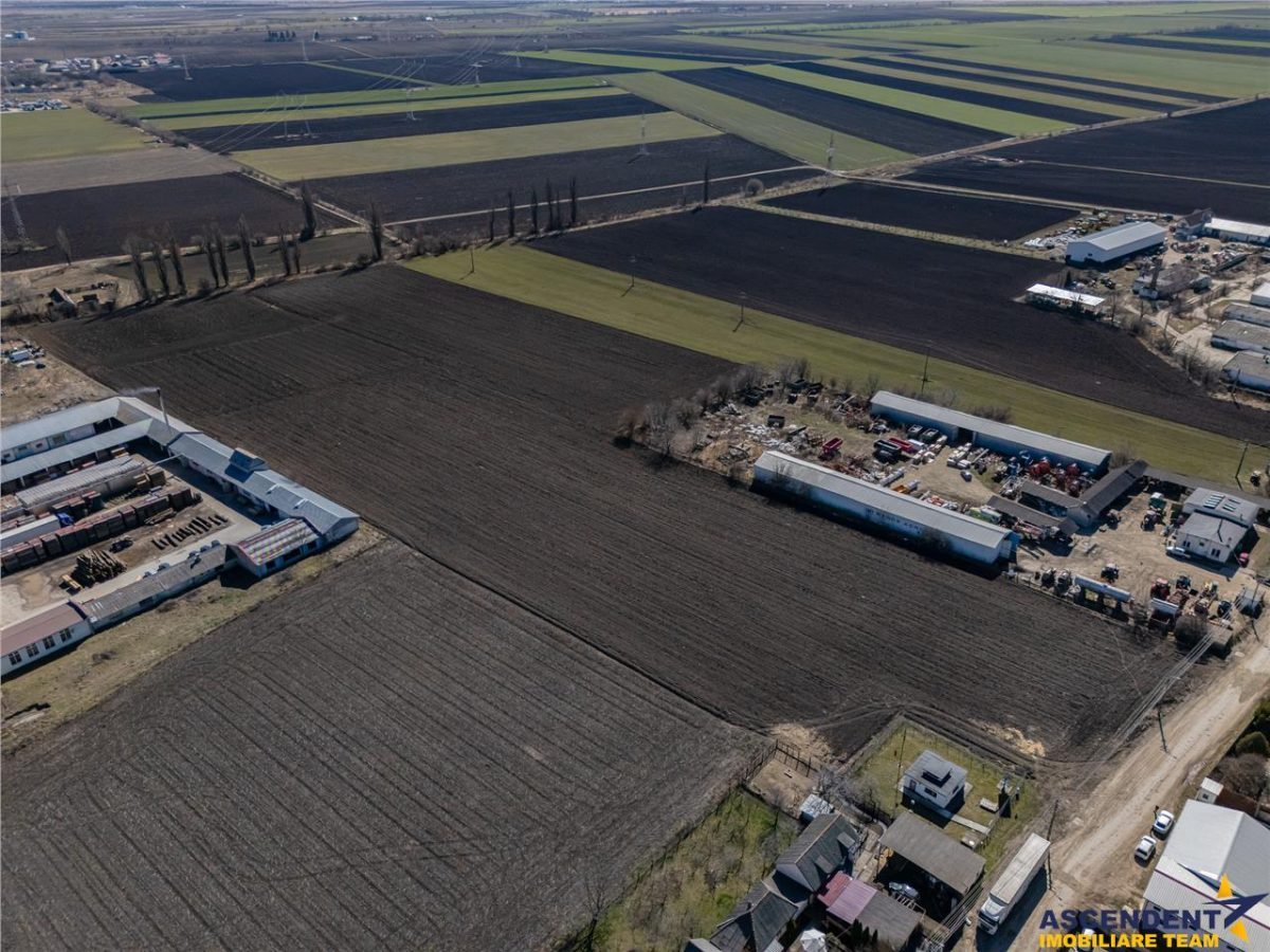 FILM! 10.000mp teren intravilan, Central, Halchiu, Brasov - foto 5