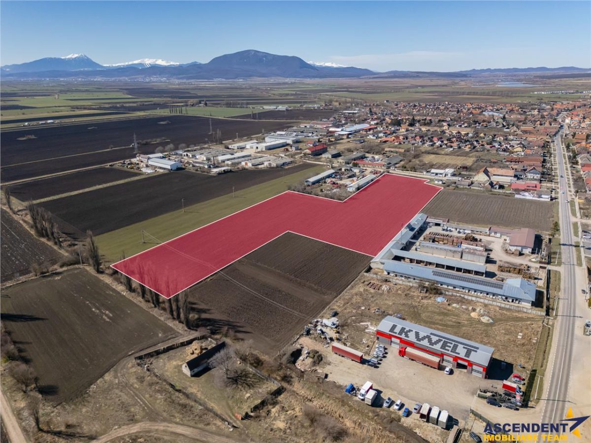 FILM! 10.000mp teren intravilan, Central, Halchiu, Brasov - foto 6