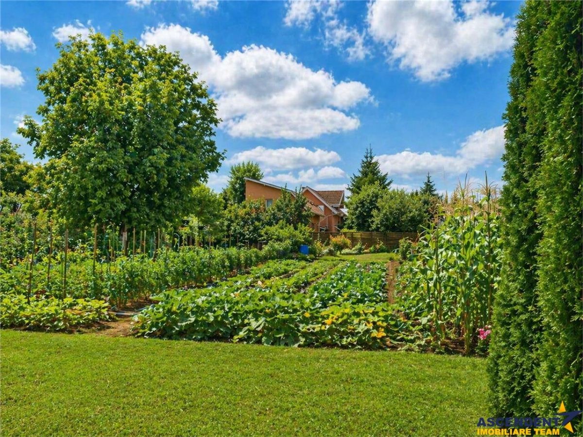 Pretios teren intravilan 1.409 mp, livada, utilitati,rezidential/ comercial, zona premium - foto 3