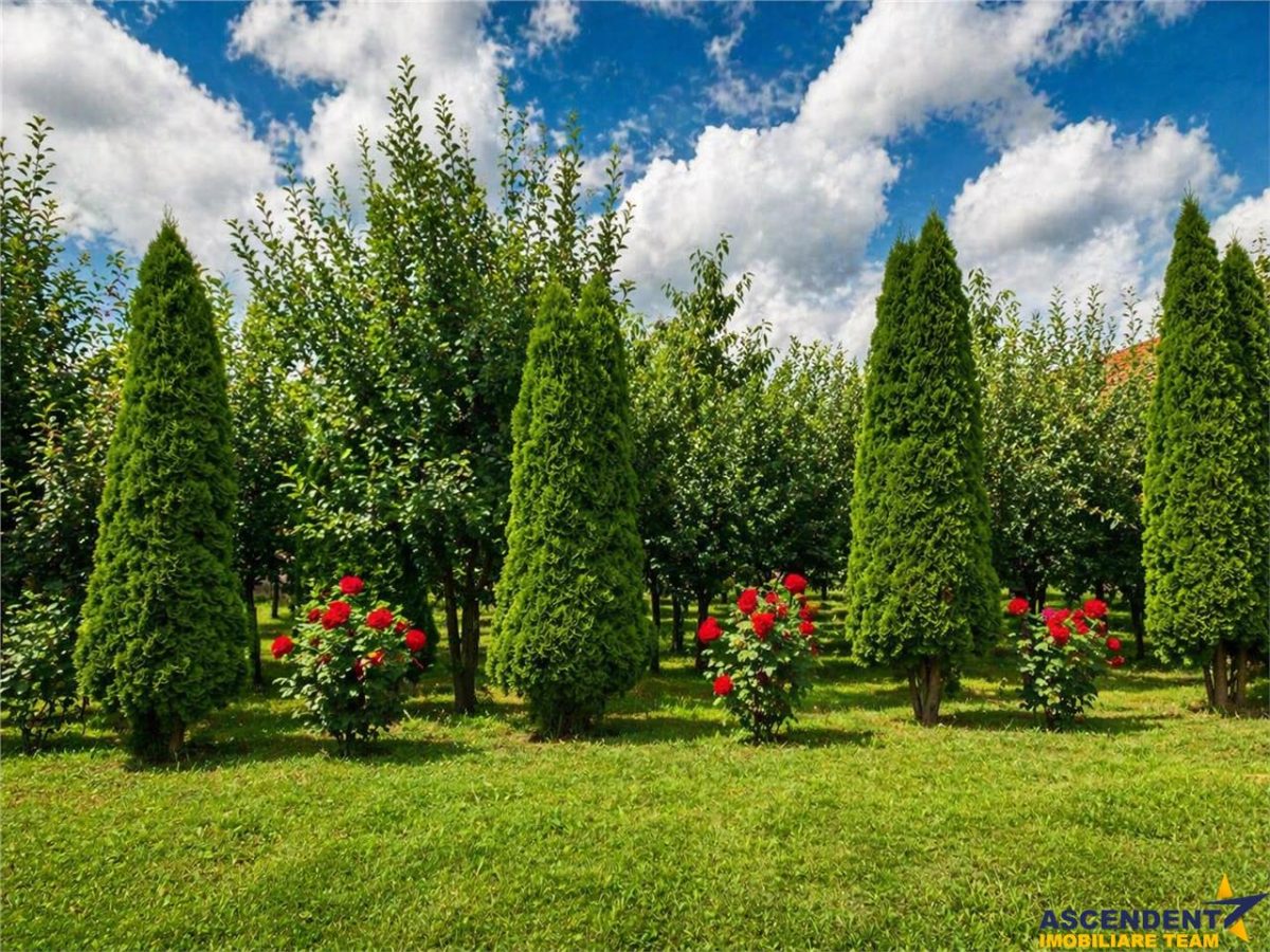 Pretios teren intravilan 1.409 mp, livada, utilitati,rezidential/ comercial, zona premium - foto 5