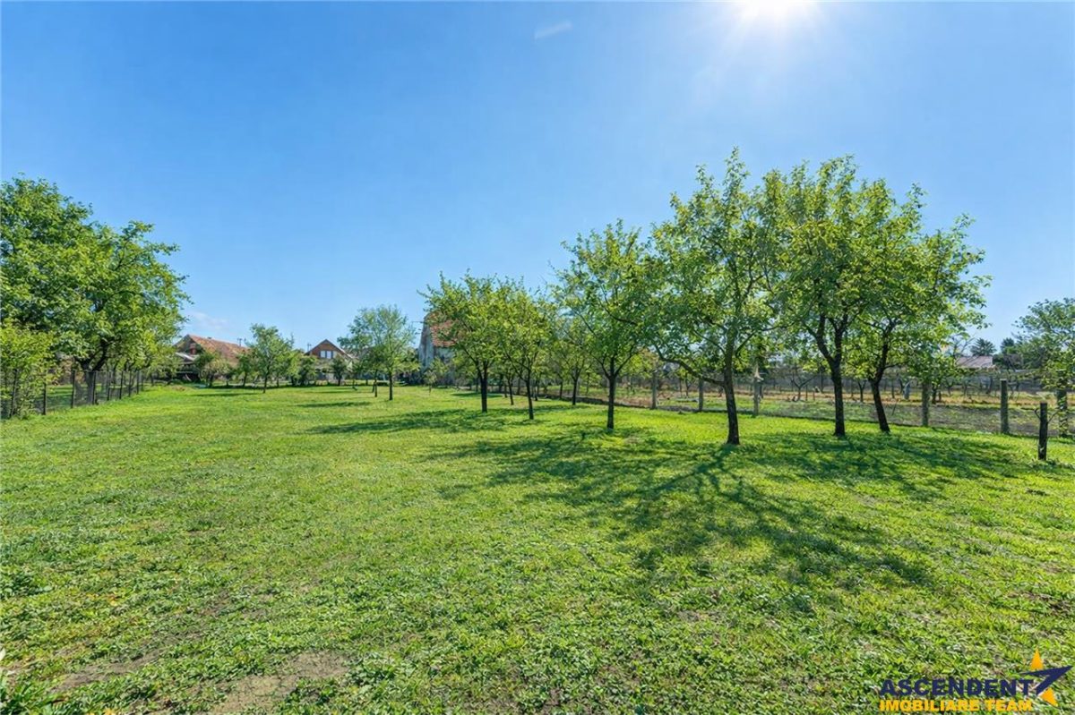 Sediu firma/ rezidential, pe domeniu de 2.240 mp teren,Central, Halchiu, Brasov - foto 5