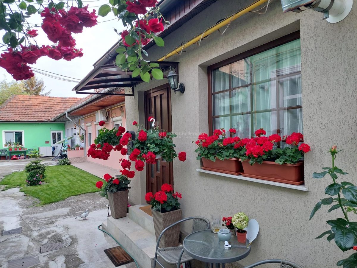 Refugiu urban cu personalitate â€“ Casa cu mansardaÂ si crama amenajata -  zona centrala - 