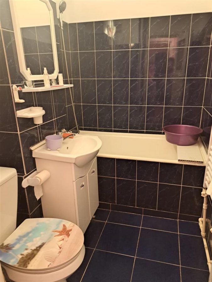 Apartament 2 Camere Zimbru - 360 euro - foto 9