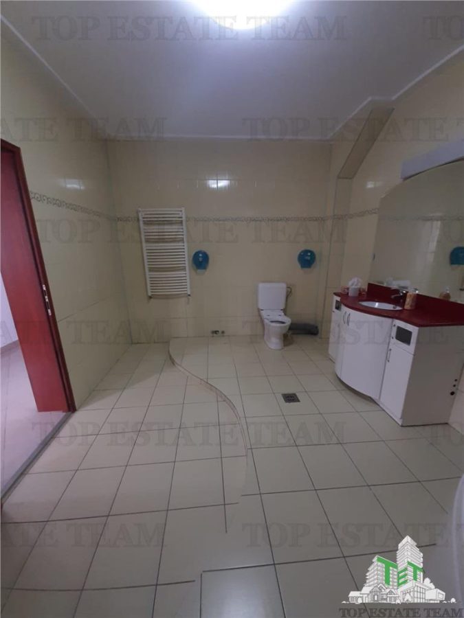 Tineretului-vila individuala aproape  de metrou si parc --pozitie excelenta - foto 22