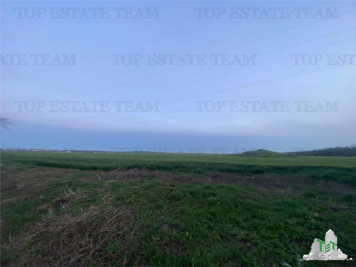 Teren intravilan 15000 mp Costinesti, Constanta - foto 3