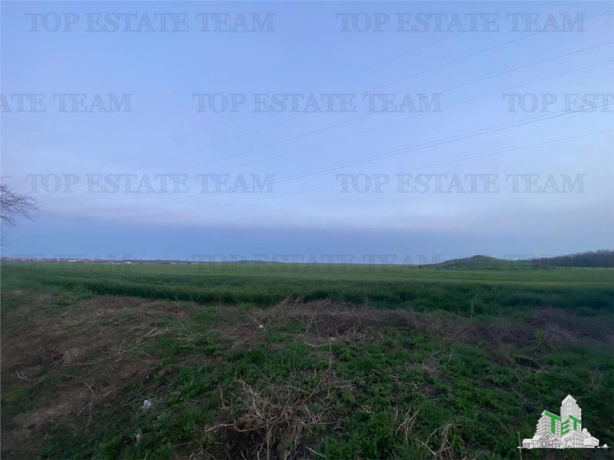 Teren intravilan 15000 mp Costinesti, Constanta - foto 5