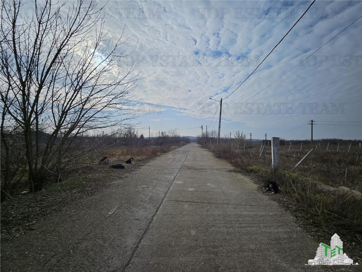 Teren intravilan Harsova - foto 3