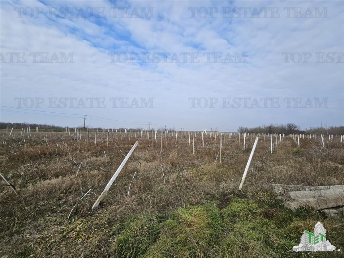 Teren intravilan Harsova - foto 4