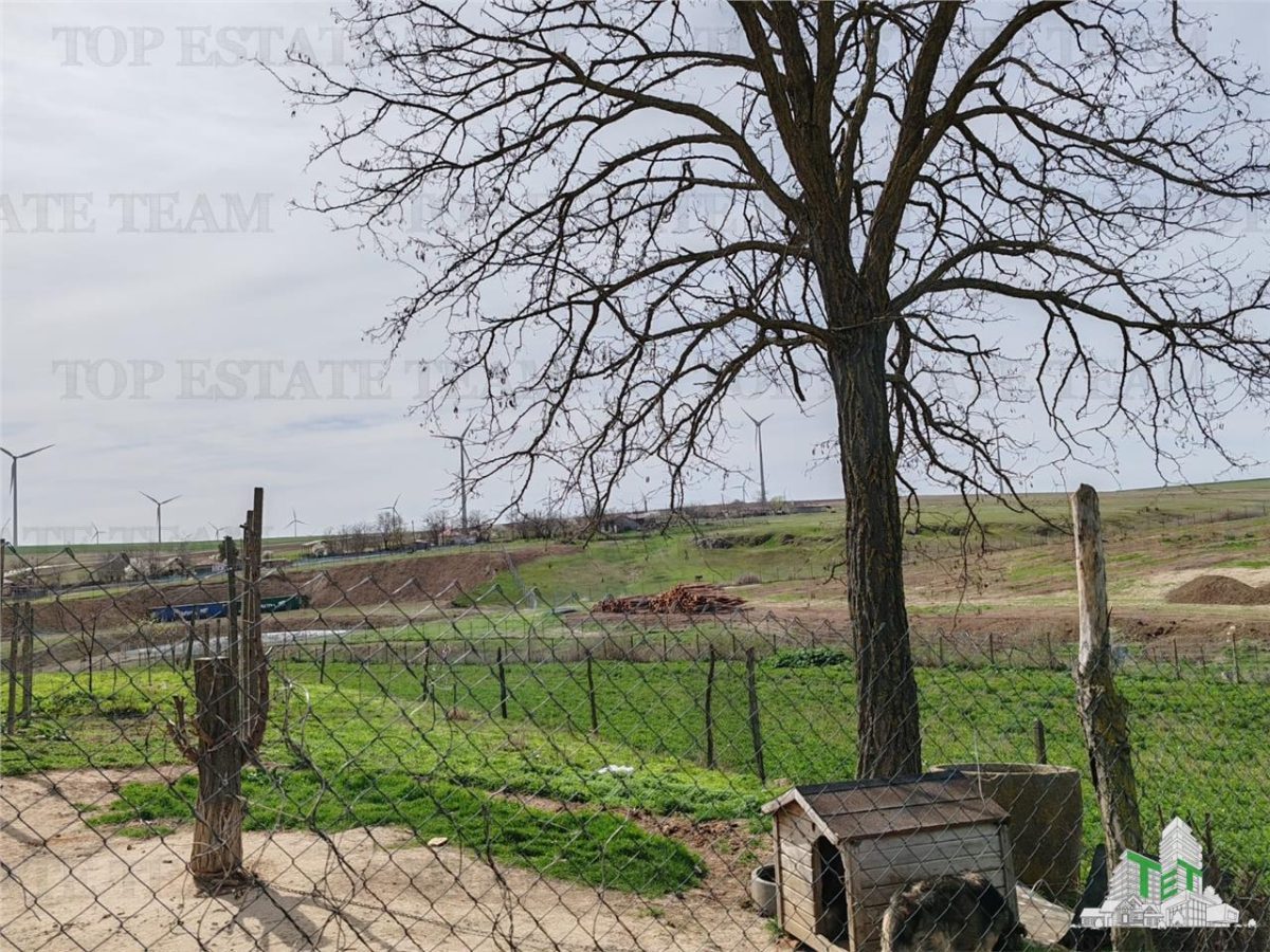 Teren intravilan cu utilitati 4350 mp  la tara Jud Constanta - foto 3