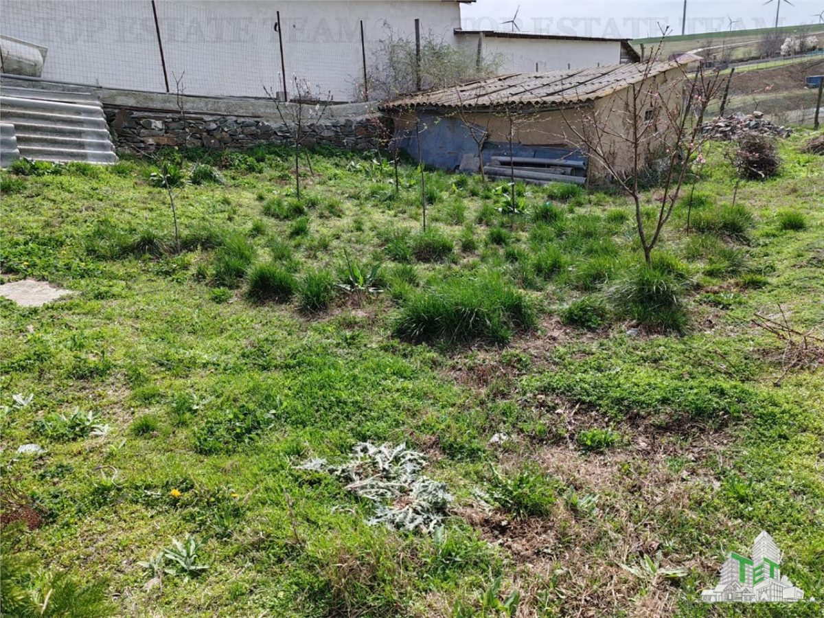 Teren intravilan cu utilitati 4350 mp  la tara Jud Constanta - foto 6