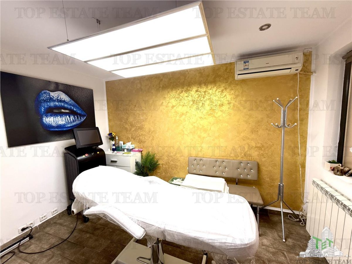 Vila de Ã®nchiriat cu 7 camere ultracentral Piata Victoriei - foto 21