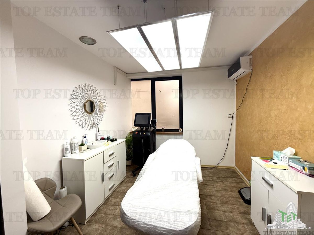 Vila de Ã®nchiriat cu 7 camere ultracentral Piata Victoriei - foto 24