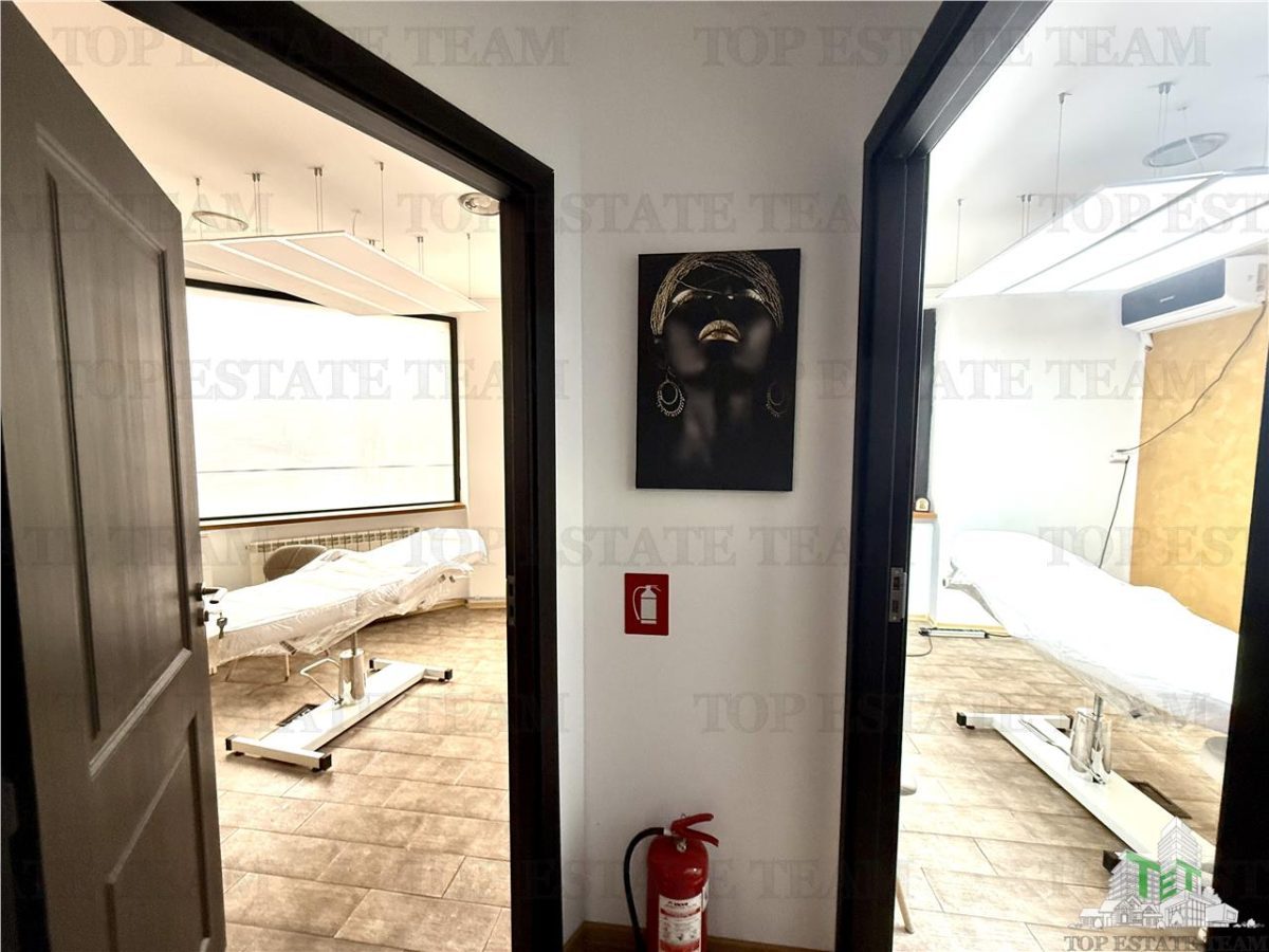 Vila de Ã®nchiriat cu 7 camere ultracentral Piata Victoriei - foto 6