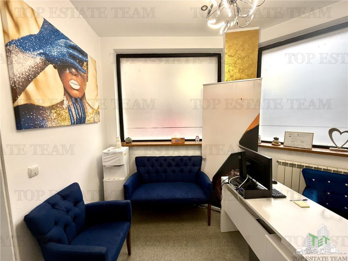 Vila de Ã®nchiriat cu 7 camere ultracentral Piata Victoriei - foto 10