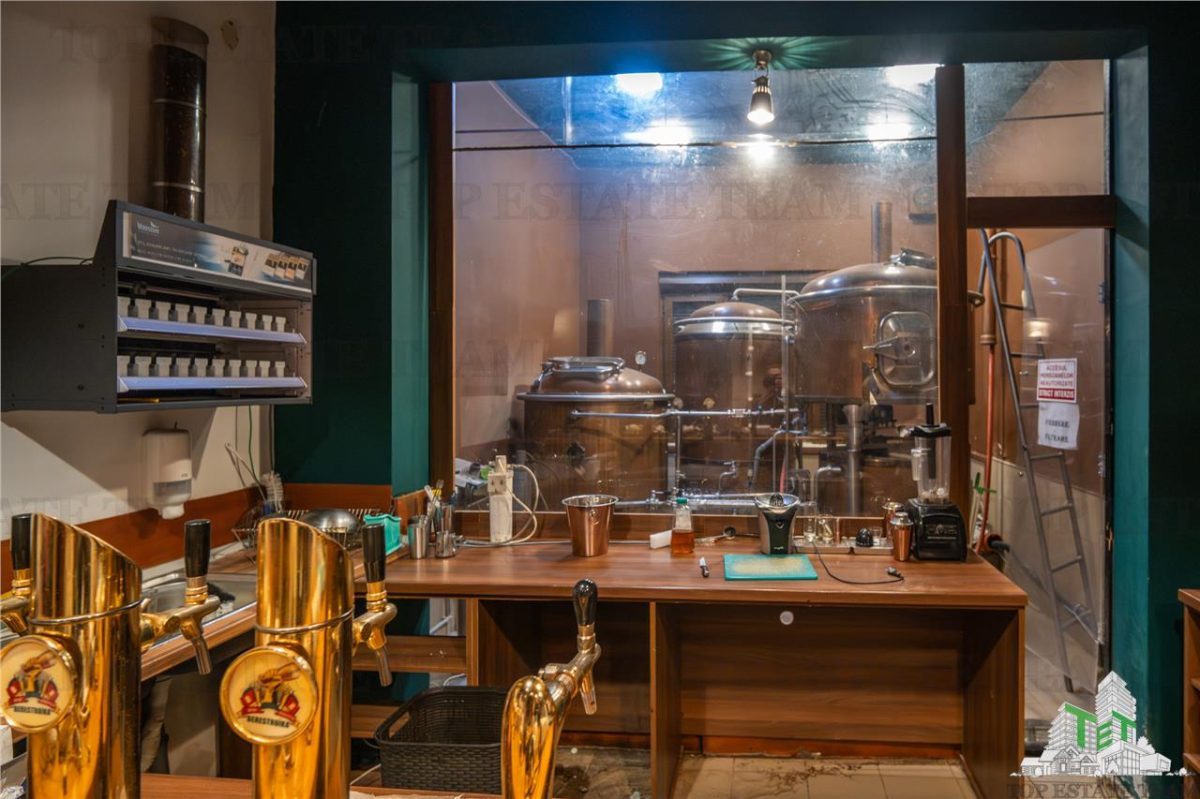 Proprietate Piata Unirii - teren  1000mp +  2 constructii - foto 7