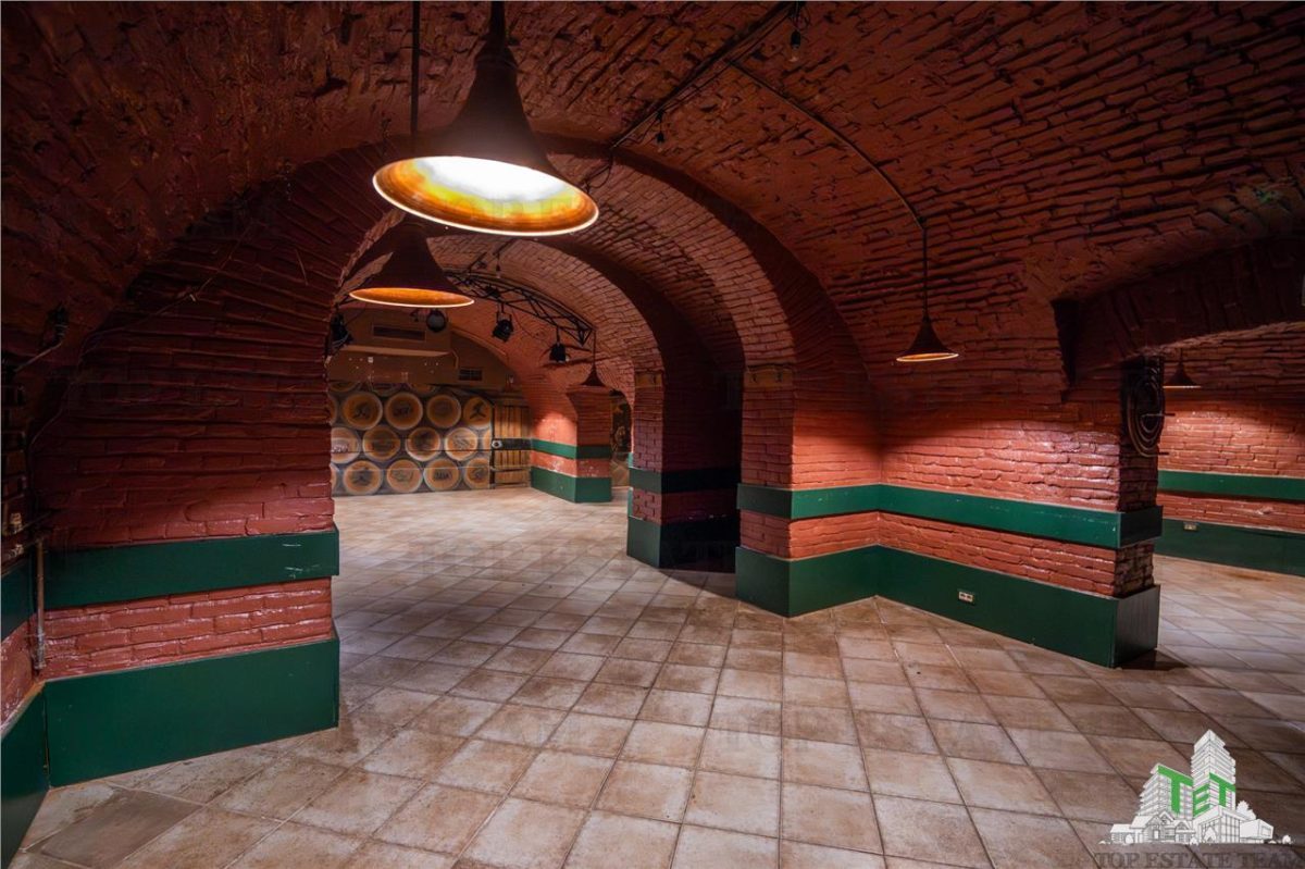 Proprietate Piata Unirii - teren  1000mp +  2 constructii - foto 10