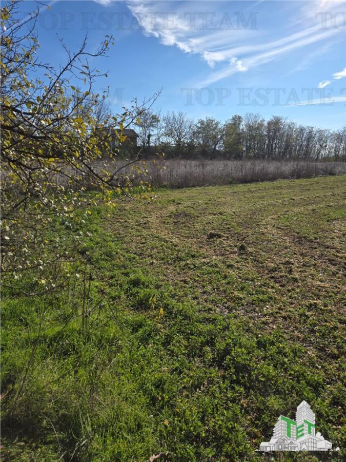 Teren intravilan, 3751mp oportunitate de investitie, cu utilitati, comuna Daia, judetul Giurgiu - foto 3