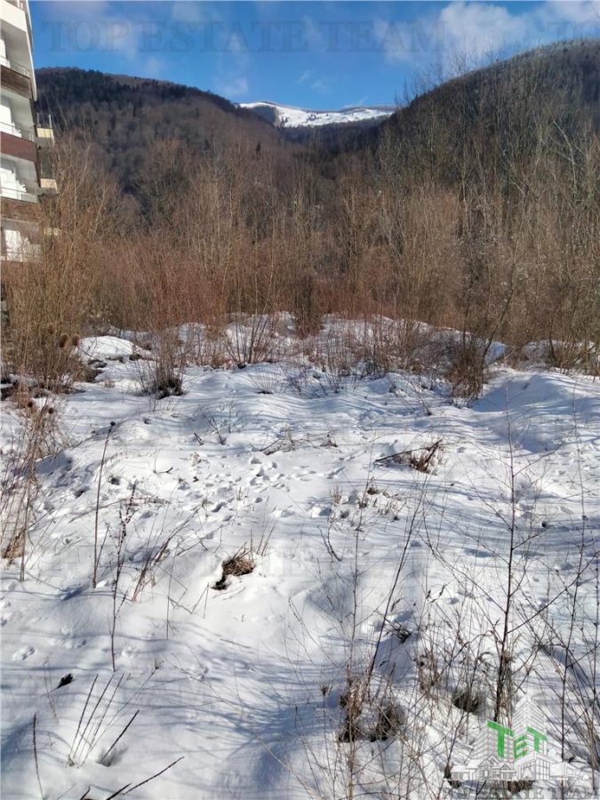 Teren Intravilan Sinaia 4034 mp - Sinaia