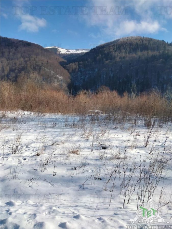 Teren Intravilan Sinaia 4034 mp - foto 4