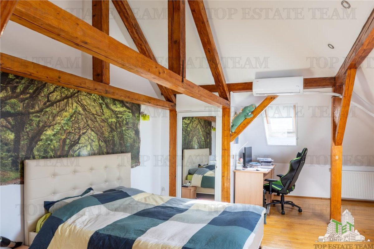 Vila Vatra Luminoasa, Bucuresti - foto 13