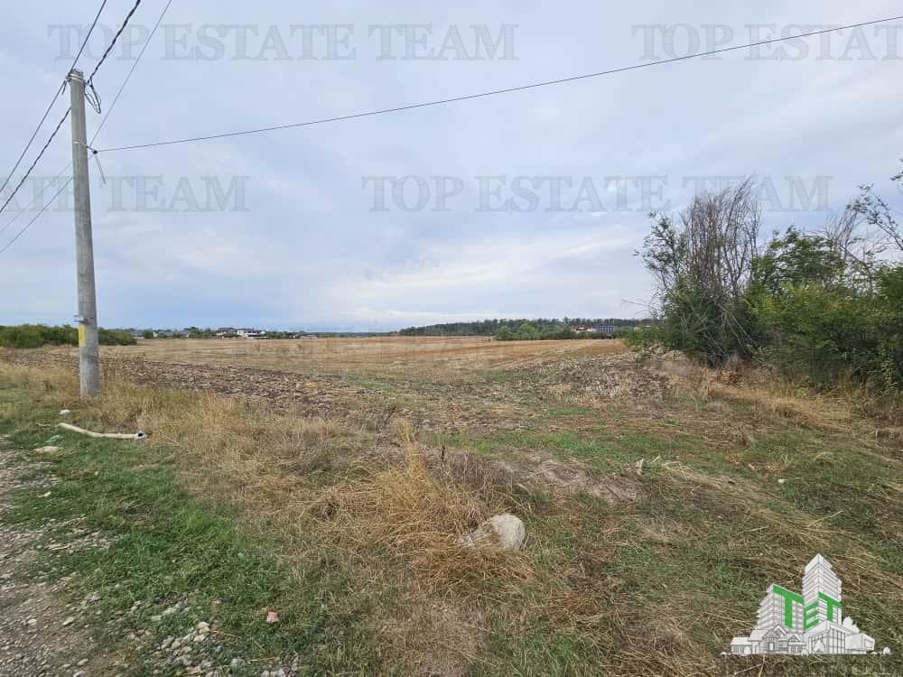 Teren Intravilan pentru constructie, 3000mp, Branesti, Ilfov - foto 3