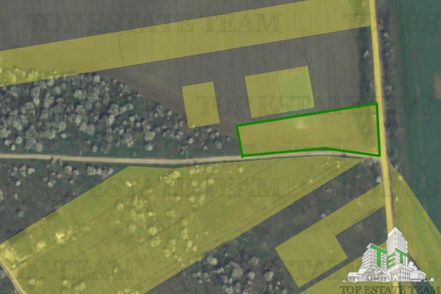 Teren Intravilan pentru constructie, 3000mp, Branesti, Ilfov - foto 4