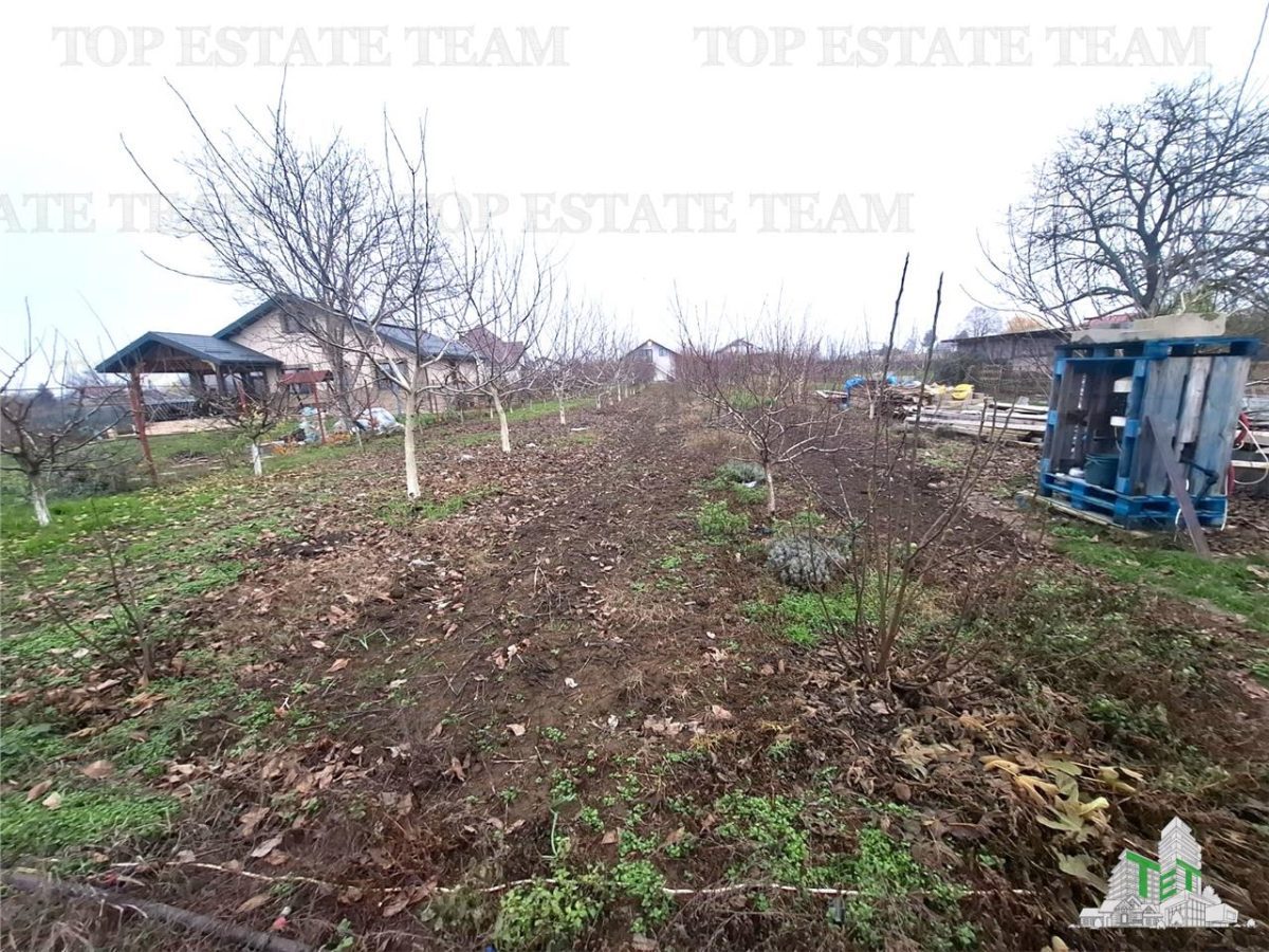 Teren Intravilan Moara Vlasiei 963 mp, Zona Superba, - foto 3