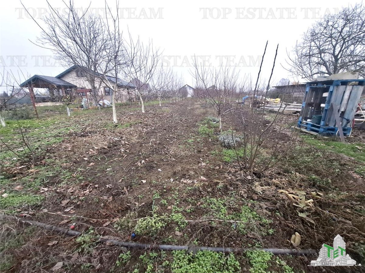 Teren Intravilan Moara Vlasiei 963 mp, Zona Superba, - foto 5