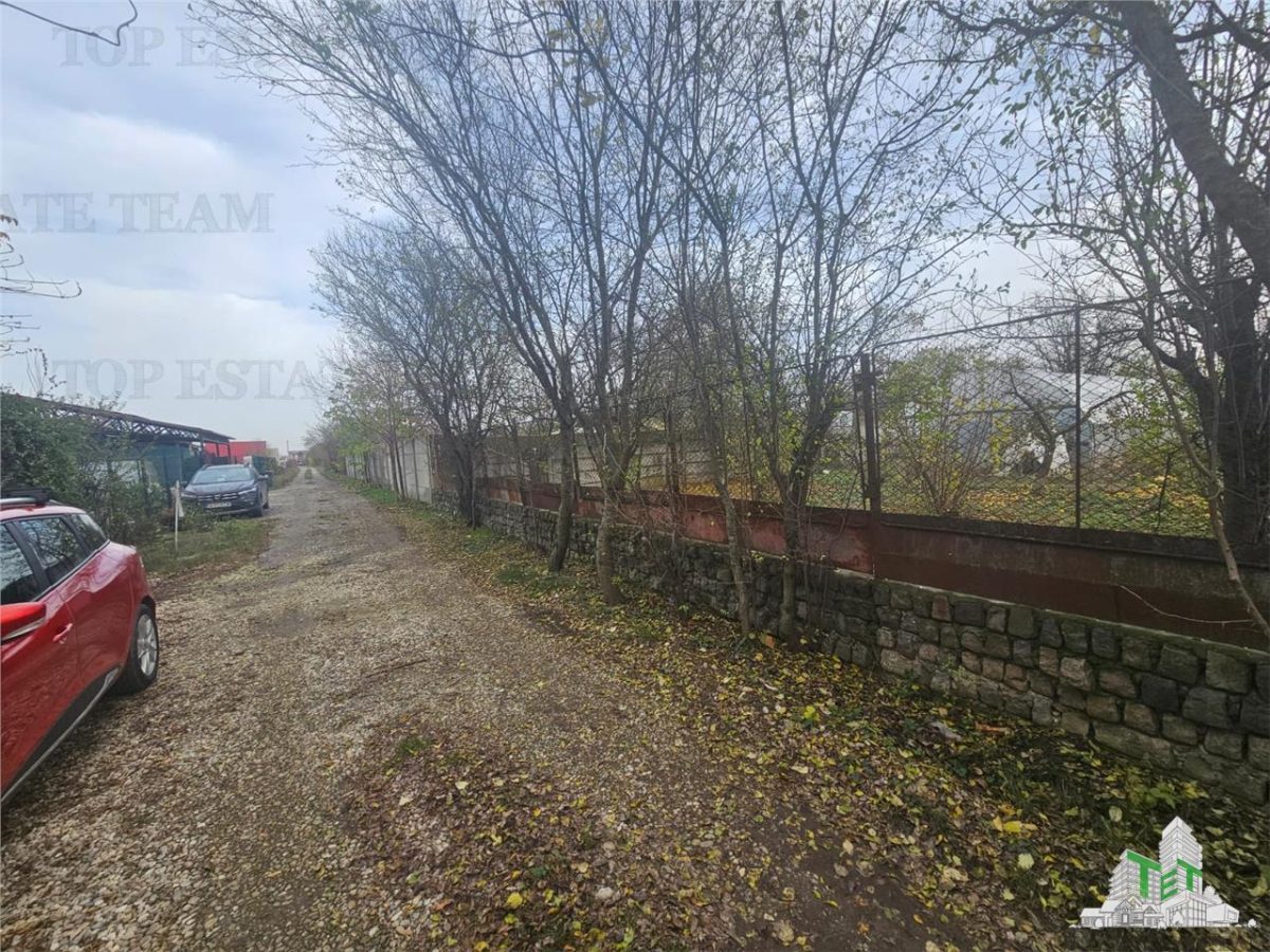 Teren 2000mp intre case langa Padurea Teghes - foto 3