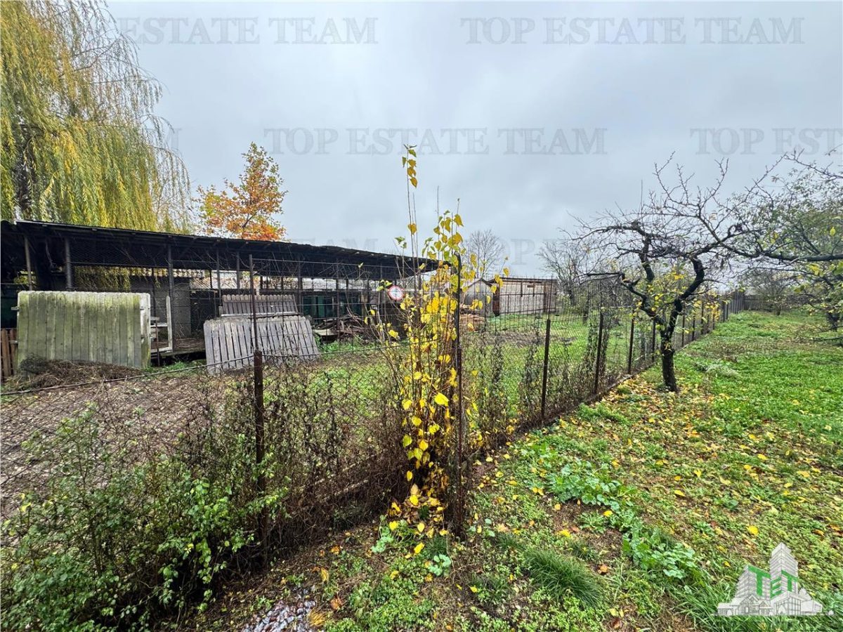 Vila de vanzare in Branistea, teren 2665 mp - foto 19