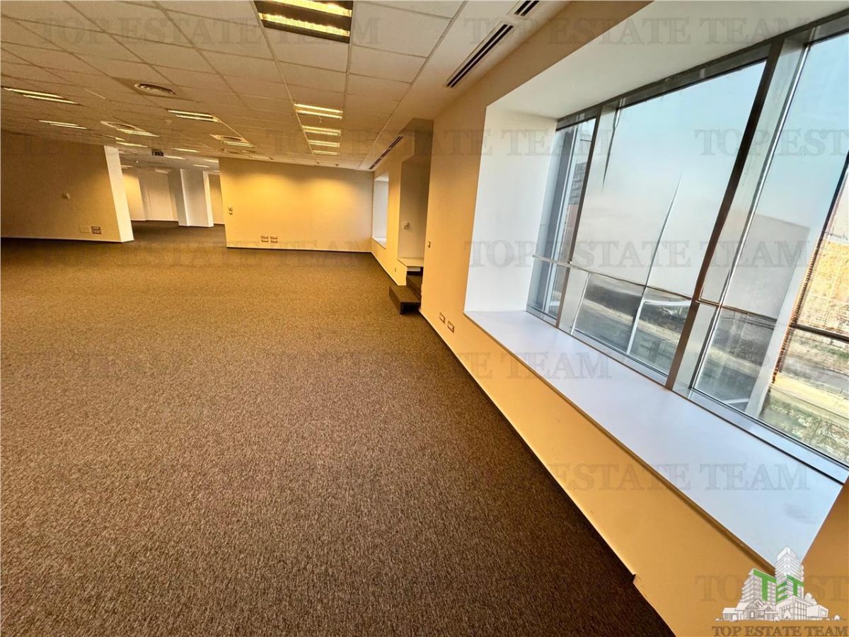 Spatii Office de inchiriat cu vedere panoramica in Sector 6 - foto 12