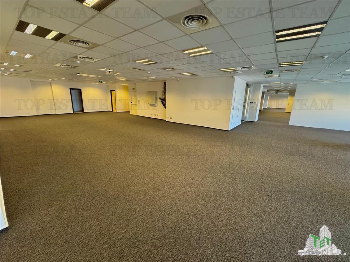 Spatii Office de inchiriat cu vedere panoramica in Sector 6 - foto 15