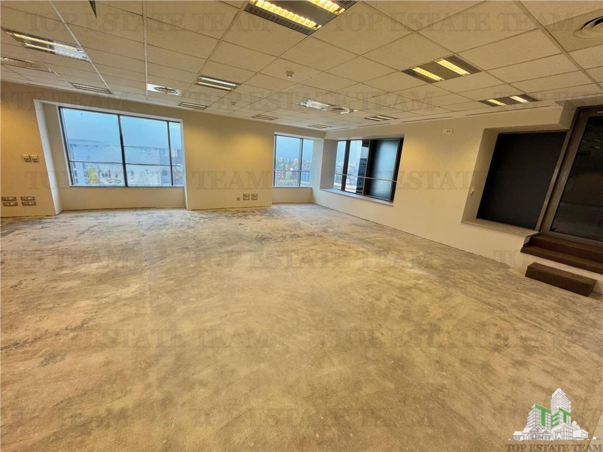 Spatii Office de inchiriat cu vedere panoramica in Sector 6 - foto 17