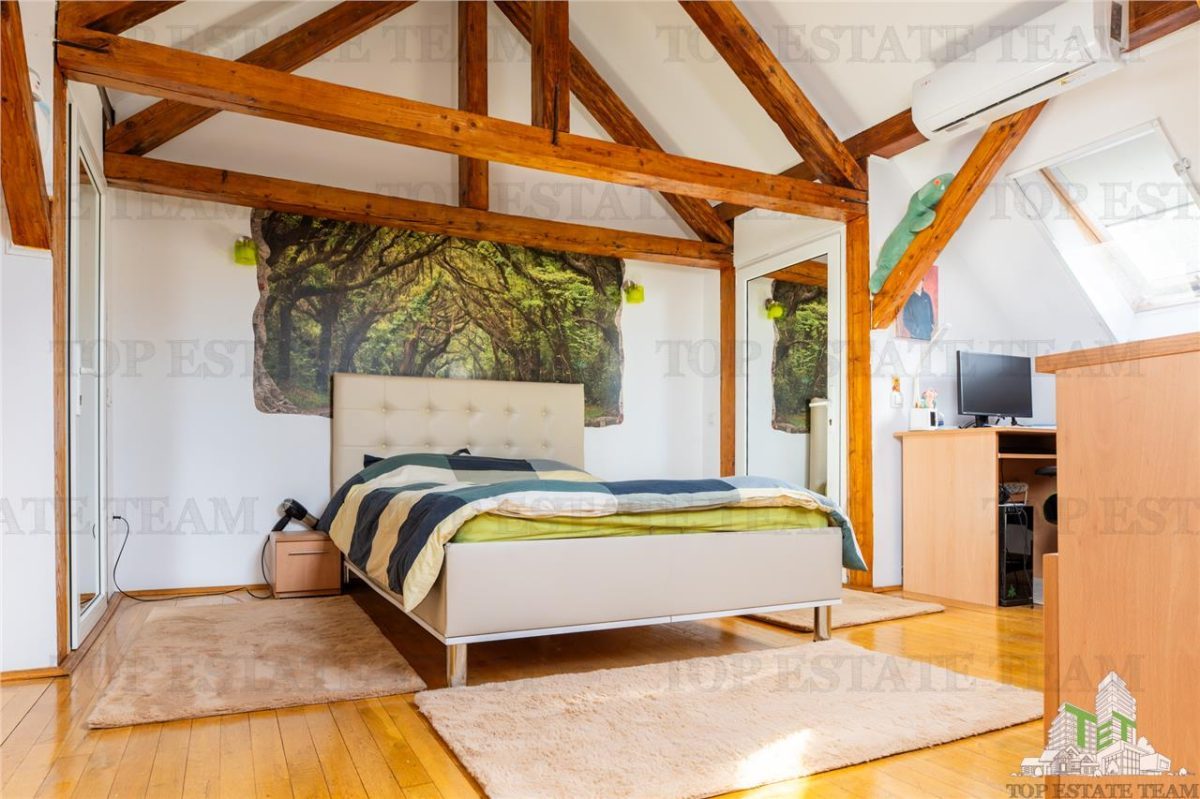 Vila Vatra Luminoasa, Bucuresti - foto 11