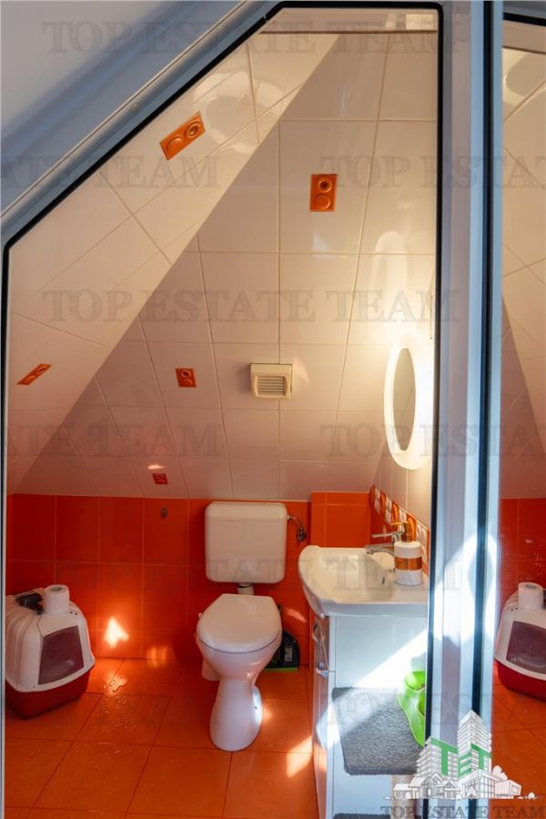 Vila Vatra Luminoasa, Bucuresti - foto 17