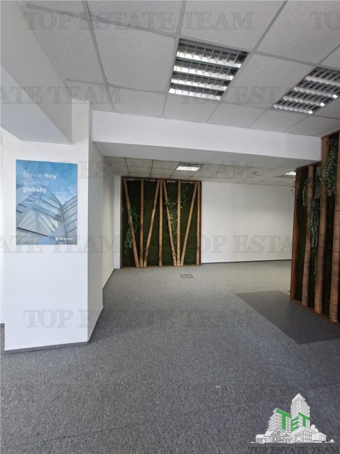 Spatiu de Birouri de 110 mp in Zona Otopeni aproape de Aeroport - foto 7
